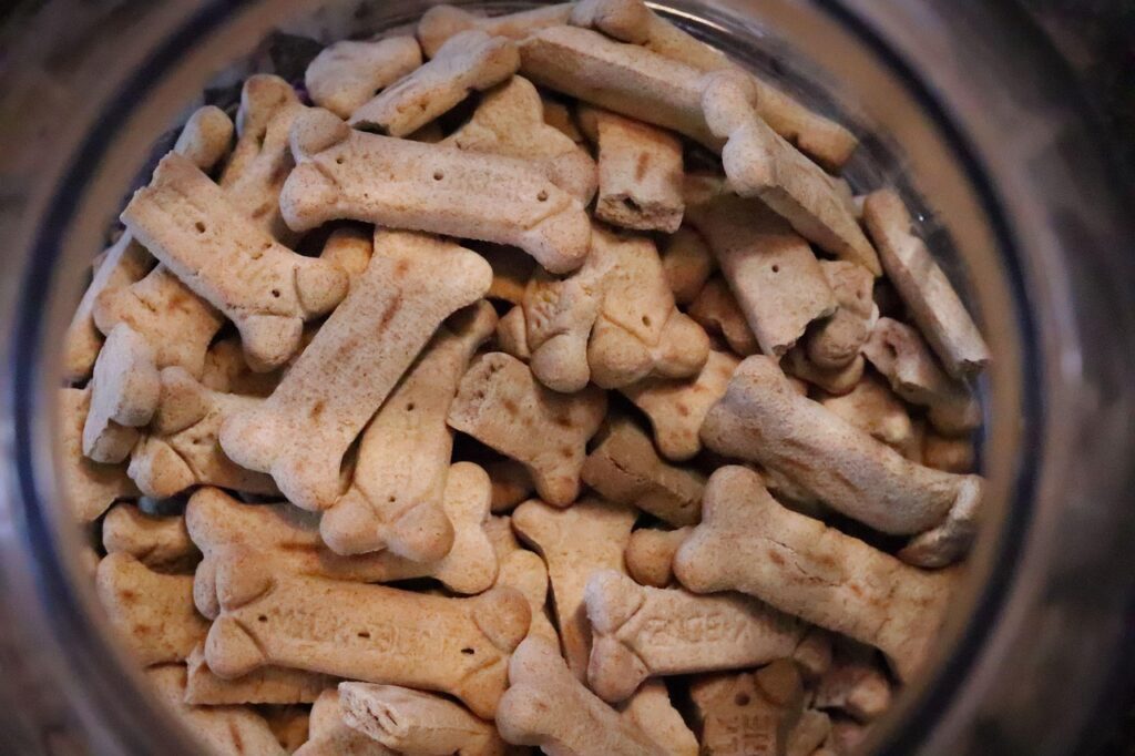 dog treats, bone, biscuit, dog food, pet food, closeup, dog treats, dog treats, dog treats, dog treats, dog treats, dog food, pet food
