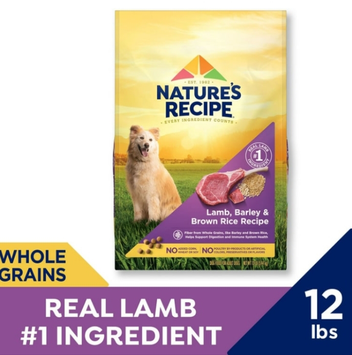 Nature's Recipe Mature Lamb s Brown Rice Recipe Dry Dog Food bag