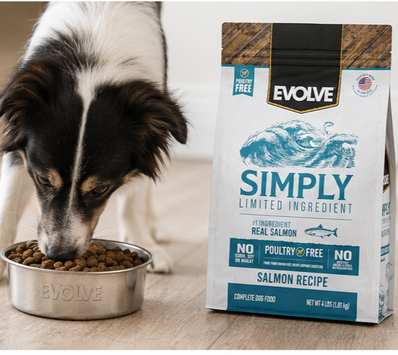 Evolve Simply Limited Ingredient Salmon Dry Dog Food Bag Front View