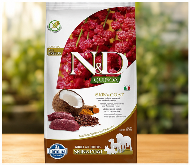 Healthy Adult Dog Eating N&D Farmina Quinoa Skin & Coat Dog Food