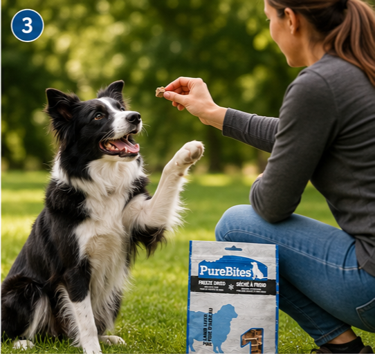 PureBites Lamb Freeze Dried Dog Treats package with happy Golden Retriever – 100% single ingredient dog treats