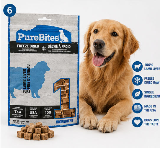Border Collie training with PureBites Lamb Freeze Dried Dog Treats – healthy high-value training reward