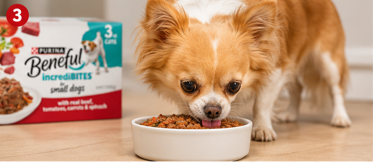 Purina Beneful IncrediBites Small Breed Wet Dog Food Review with Real Beef for Small Breed Dogs
