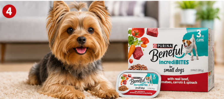Healthy Yorkshire Terrier beside Purina Beneful IncrediBites Small Breed Wet Dog Food 48 Pack